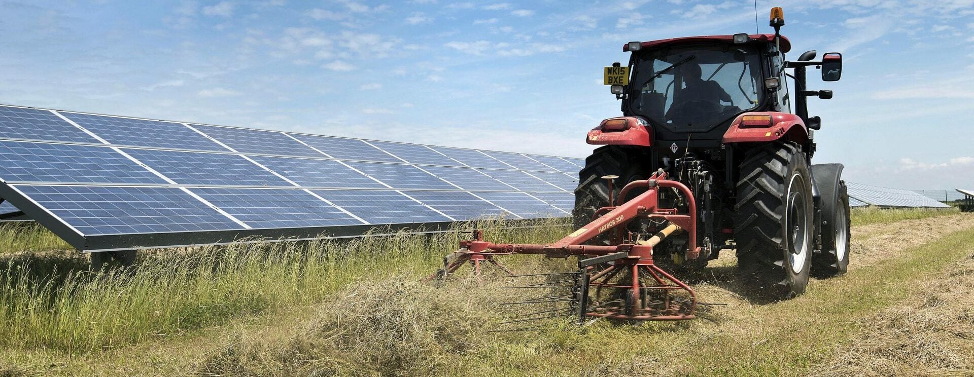 Agricultural Projects